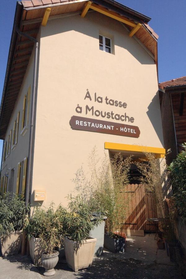 Hotel A La Tasse A Moustache Тонон-ле-Бен Екстериор снимка